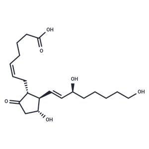 20-hydroxy Prostaglandin E2