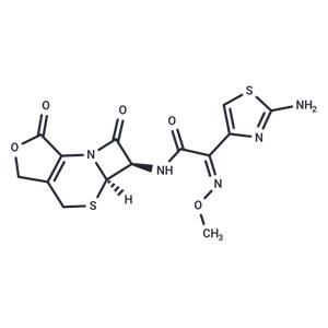 3-Desacetyl Cefotaxime lactone