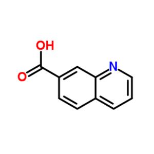 7-Quinolinecarboxylic acid
