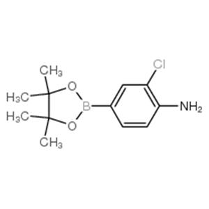 4-Amino-3-chlorophenylboronic Acid Pinacol Ester