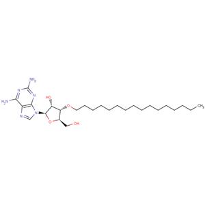 3'-O-Hexadecanyl-2-aminoadenosine