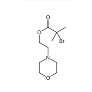 2-Morpholinoethyl 2-bromo-2-methylpropanoate