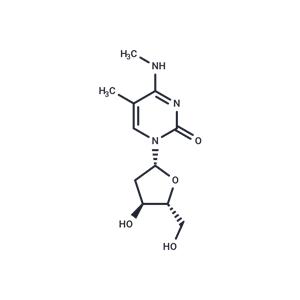 2'-Deoxy-5,N4-dimethylcytidine