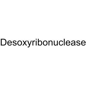 Deoxyribonuclease
