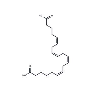 20-carboxy Arachidonic Acid