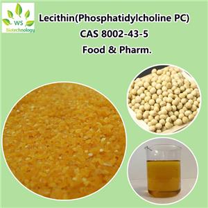 Soy Lecithin(Phosphatidylcholine PC)