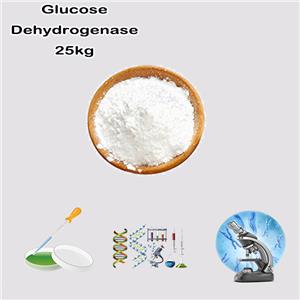 Glucose Dehydrogenase