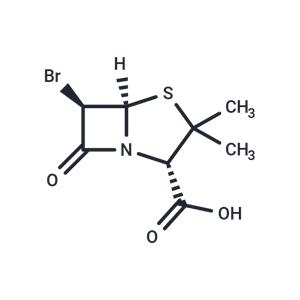 Brobactam