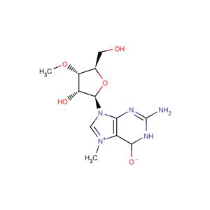 N7-Methyl-3'-O-methyl guanosine