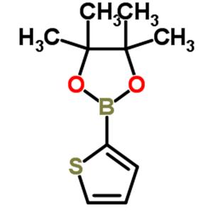 Thiophene-2-Boronic Acid Pinacol Ester