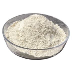 Luminol (3-Aminophthalic hydrazide)