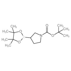tert-butyl 3-(4,4,5,5-tetramethyl-1,3,2-dioxaborolan-2-yl)pyrrolidine-1-carboxylate