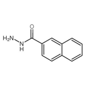 2-NAPHTHHYDRAZIDE