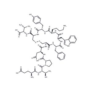 Urotensin II (114-124), human