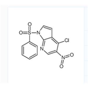 1-(benzenesulfonyl)-4-chloro-5-nitropyrrolo[2,3-b]pyridine