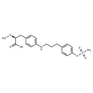 PPAR agonist 1