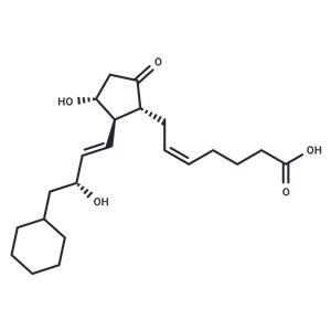 8-iso-16-cyclohexyl-tetranor Prostaglandin E2