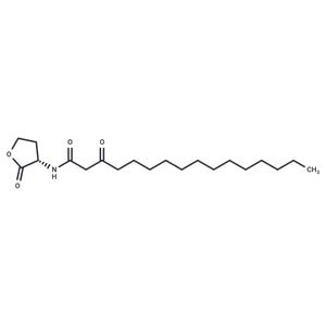 N-3-oxo-hexadecanoyl-L-Homoserine lactone