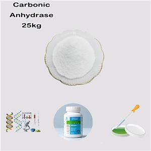 Carbonic Anhydrase, Lyophilized Powder