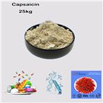 404-86-4 Capsaicin