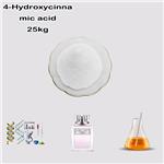 7400-08-0 4-Hydroxycinnamic acid