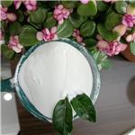 50-41-9 Clomiphene 50mg x 100tablets