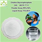 28319-77-9 Alpha GPC（Choline Alfoscerate）