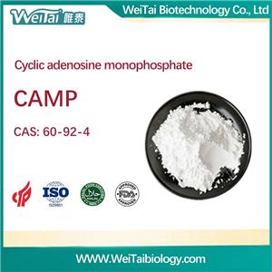 Adenosine 3',5'-cyclic monophosphate (CAMP)