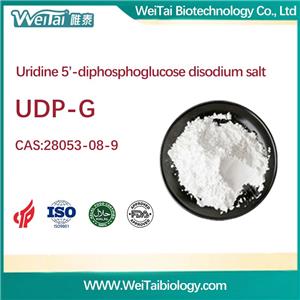 Uridine 5'-diphosphoglucose disodium salt(UDP-G)