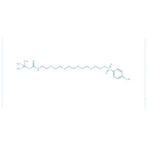 2, 2-Dimethyl-4-oxo-3, 8, 11, 14, 17-pentaoxa-5-azanonadecan-19-yl 4-methylbenzenesulfonate