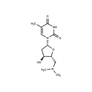 5'-Deoxy-5'-N,N-dimethylaminothymidine