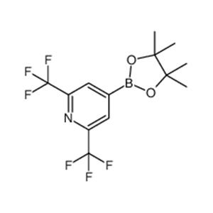 4-(4,4,5,5-tetramethyl-1,3,2-dioxaborolan-2-yl)-2,6-bis(trifluoromethyl)pyridine
