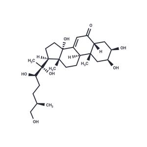 25R-Inokosterone