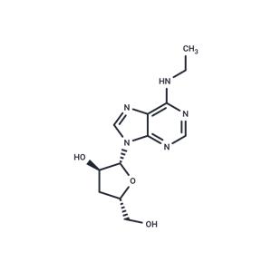 3'-Deoxy-N6-ethyladenosine