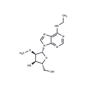 N6-Ethyl-2'-O-methyladenosine