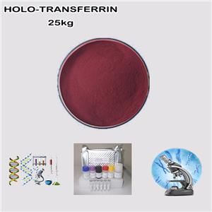 HOLO-TRANSFERRIN
