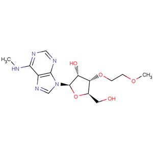 N6-Methyl-3'-O-(2-methoxyethyl) ? adenosine