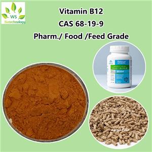 Vitamin B12