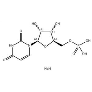 Uridine 5′-monophosphate disodium salt