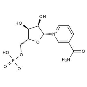 β-Nicotinamide Mononucleotide