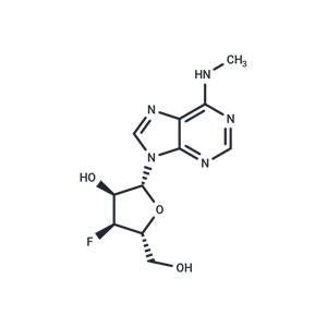 3'-Deoxy-3'-fluoro-N6-methyladenosine