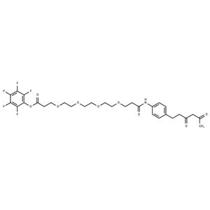 Diketone-PEG4-PFP ester