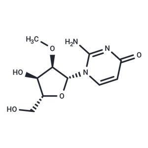 2'-O-Methyl isocytidine