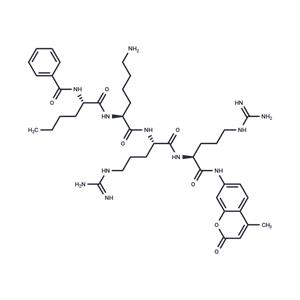 Bz-Nle-Lys-Arg-Arg-AMC