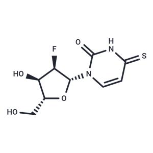 2'-Deoxy-2'-fluoro-4-thiouridine