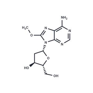 2'-Deoxy-8-methoxyadenosine