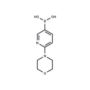 2-(Morpholino)pyridin-5-yl boronic acid