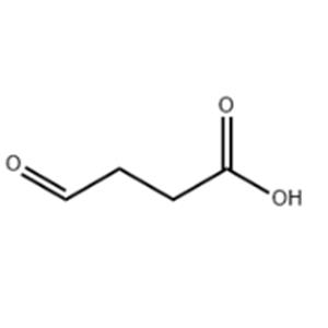 SUCCINALDEHYDIC ACID