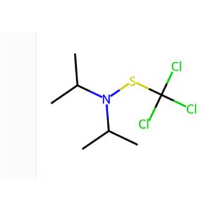 N,N-Diisopropyl-S-(trichloromethyl)thiohydroxylamine