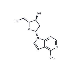 9-(2-Deoxy-β-D-erythropentofuranosyl)-6-methyl-9H-purine
